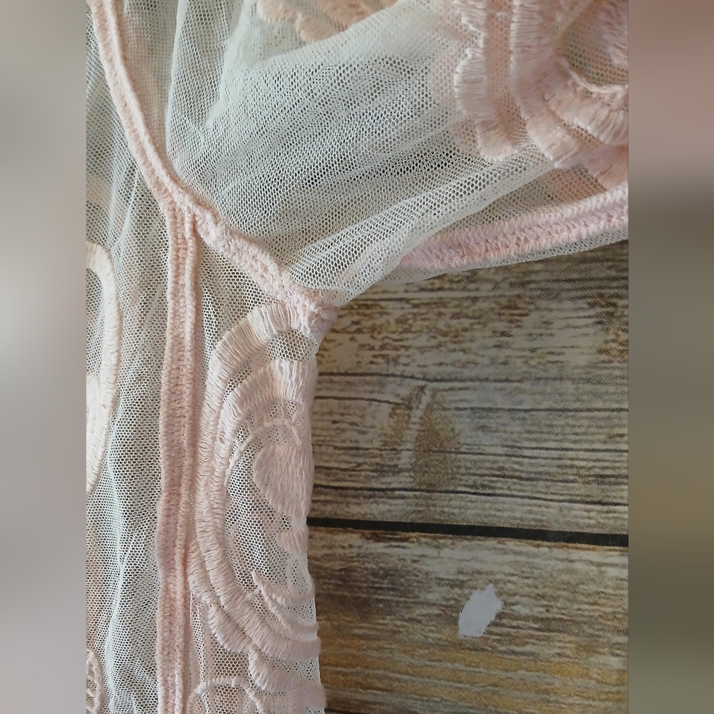 Express Pink Lace Long Sleeve Blush Pink Women Top, Sheer - Picture 11 of 14